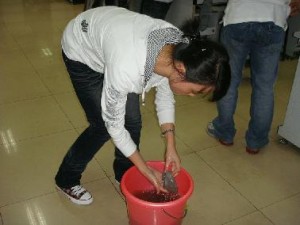 201009041131009624